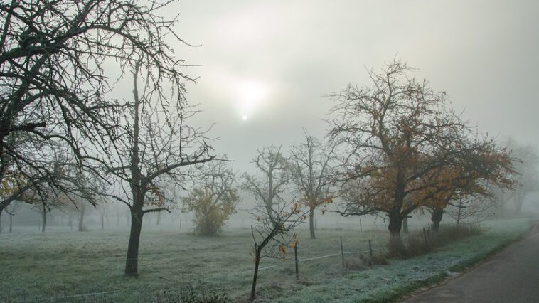 L’horreur dans le JDR, l'art de la terreur